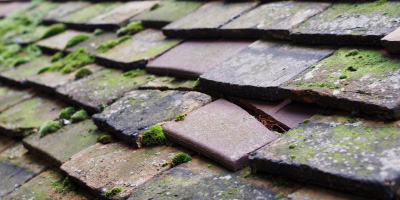 Banwell roof repair costs